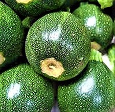 Round Zucchini Seeds 20 SEEDS NON-GMO --BUY 4 ITEMS FREE SHIPPING