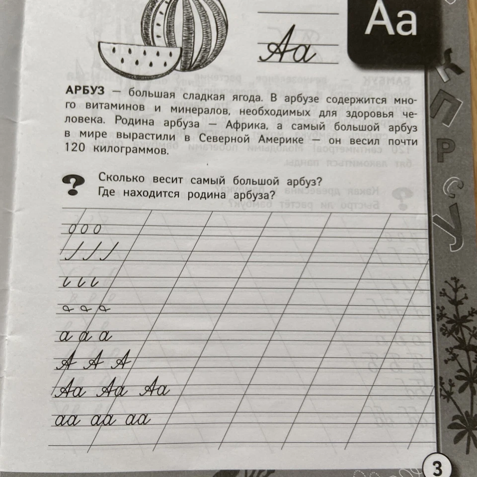 Learn Russian writing work book Русский Язык Пропись Письмо О Растениях - Image 4 of 4