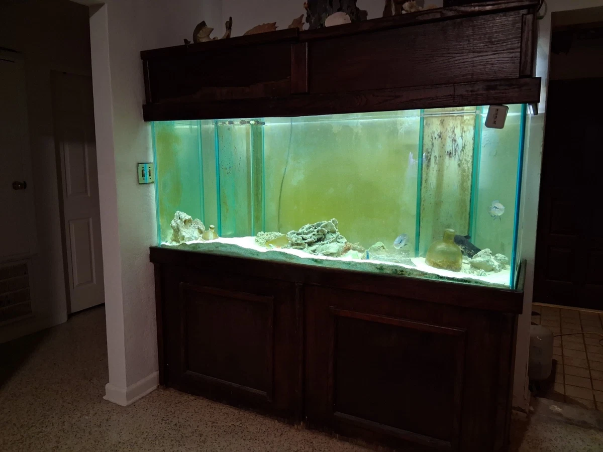 Rectangle (Standard) Aquariums & Tanks 6 ft Tank Width for sale | eBay