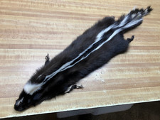 One 1 Tanned Skunk 2 Quality Hide WITH FEET Fur Pelt