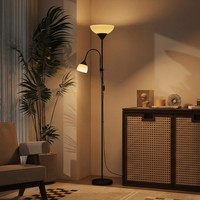 Homcom Stehlampe Mit 3 Farbtemperaturen, Ideal Zum Lesen, Schwarz