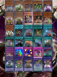 yugioh 5ds plant deck Complete Custom for Yu-Gi-Oh! 5D's YuGiOh! PREDAPLANT DECK W/ VENEMY
