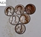 (6) 1913-D Lincoln Wheat Cent Set/Lot ~ VG/Fine ~ 6 Coins ~ ZWL92