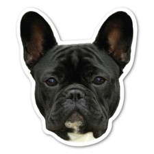  Black French Bulldog Magnet
