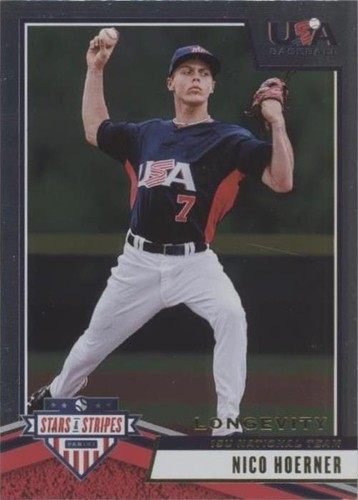 2019 Stars & Stripes NICO HOERNER USA Baseball card CHICAGO CUBS