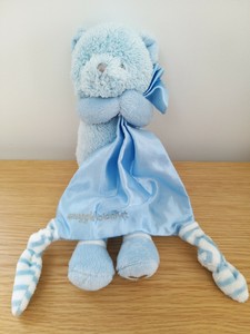 blue teddy comforter