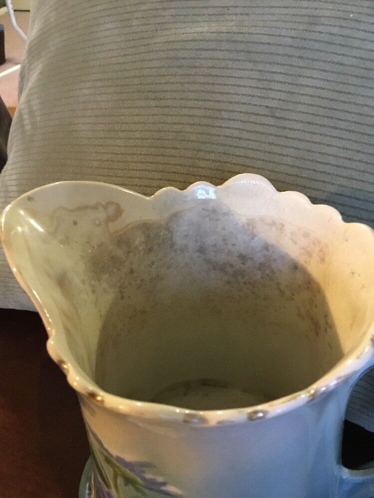 Picture 5 of 12