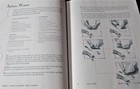 Foto 5 di 12