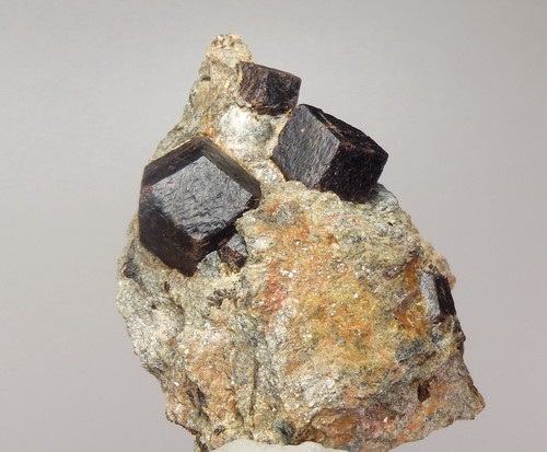 GARNET var. ALAMANDINE big crystals NORWAY Nordland - Buvika - Buviknakken pj765 - Picture 2 of 15