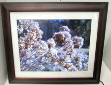 Excellent ViewSonic 15" Digital Picture Frame, VFM1536-11