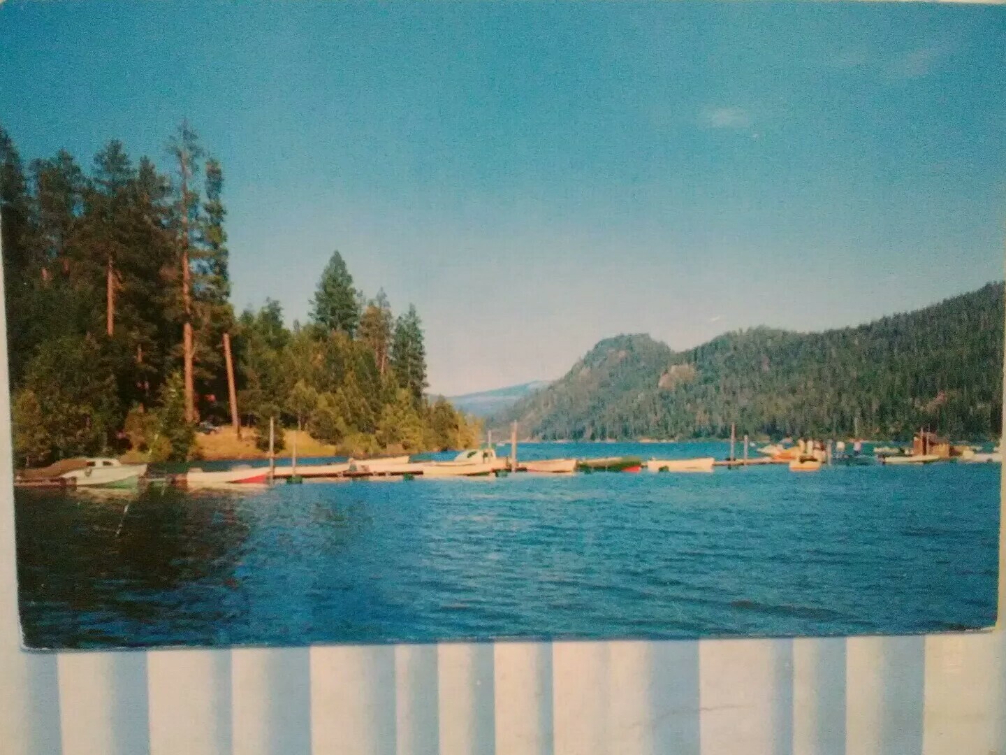 Picture 1 of 12