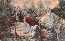 Redland California Smiley Heights Palm Knoll Walk Antique Postcard J71031