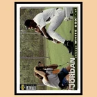 Michael Jordan #500 1995 Collectors Choice Baseball Card MLB NM