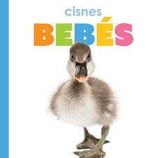 Cisnes Bebs by Meg Greve Hardcover Book