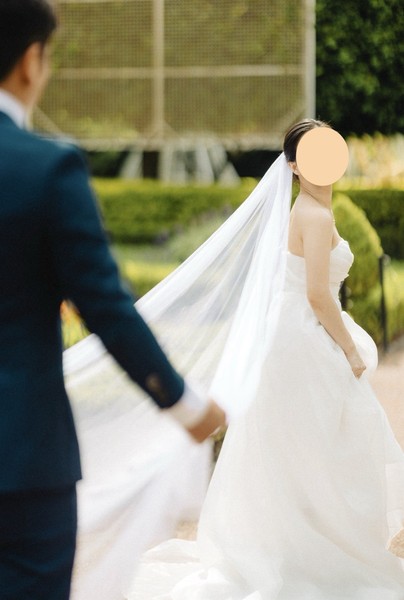 Wedding Dress Size 6 (FREE WEDDING VEIL) 