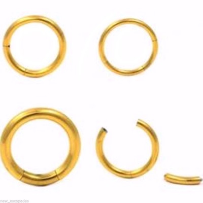 Segment Captive Ring Heavy 10 Gauge 1/2'' Gold IP SET of 2