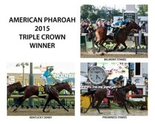 Celebrate American Pharoah's Triple Crown Win with Victor Espinoza Autographs and Memorabilia 7