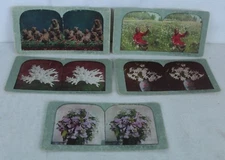 Pugs Orchids Rose Coral Easter Lilies Dixie Land Stereoscope Slide Lot of 5 1892