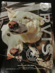 orvis dog catalog
