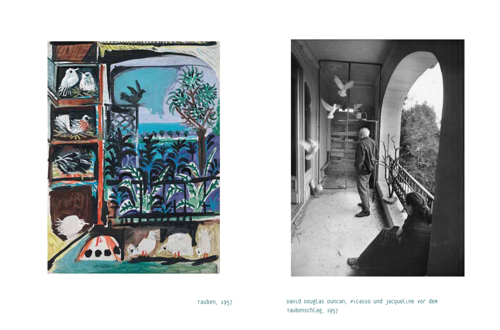 Thumbnail - Die Tiere Von Picasso Boris Friedewald