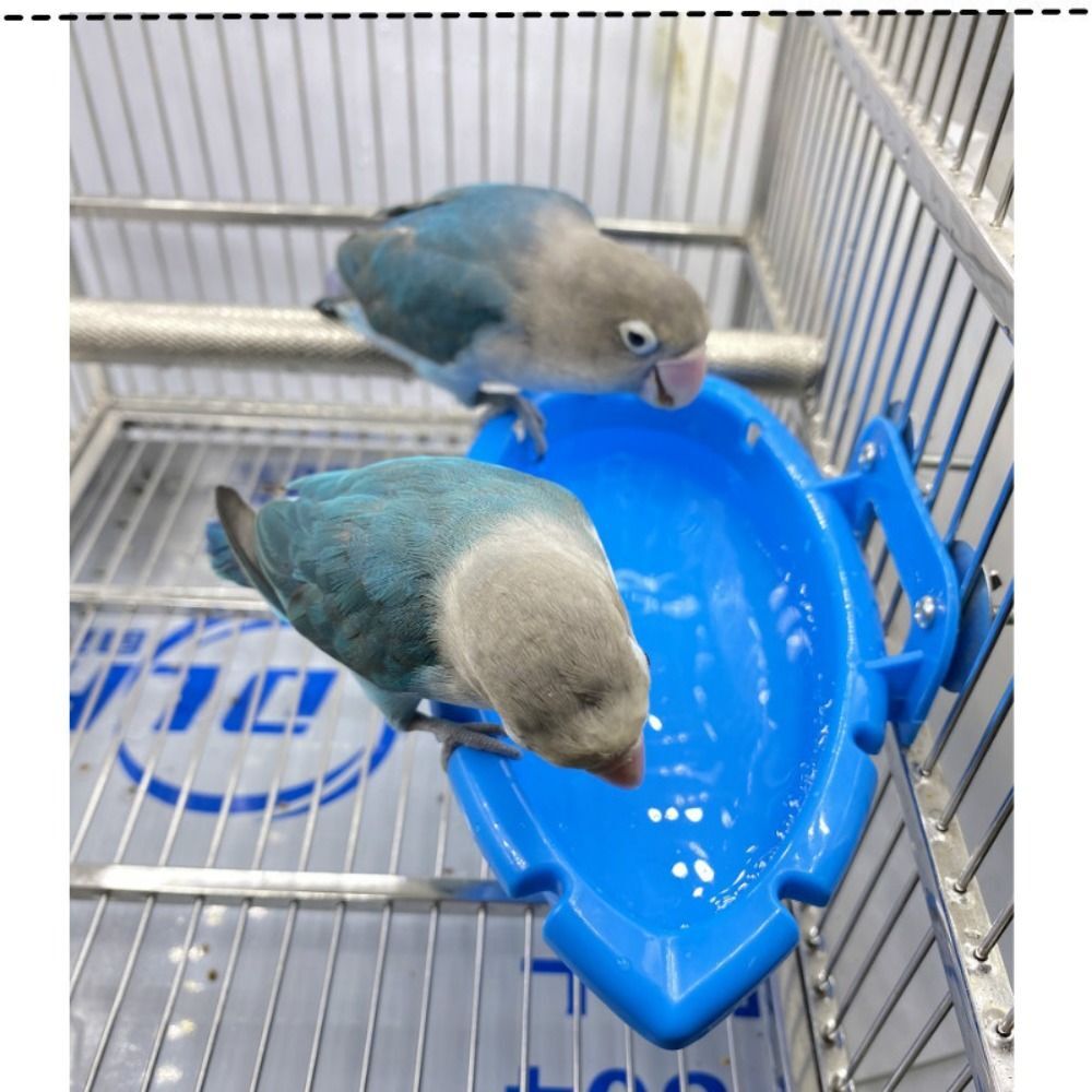 Small Bird Bird Bath Plastic Box Bowl Birdcage Accessories Bird Bath ...