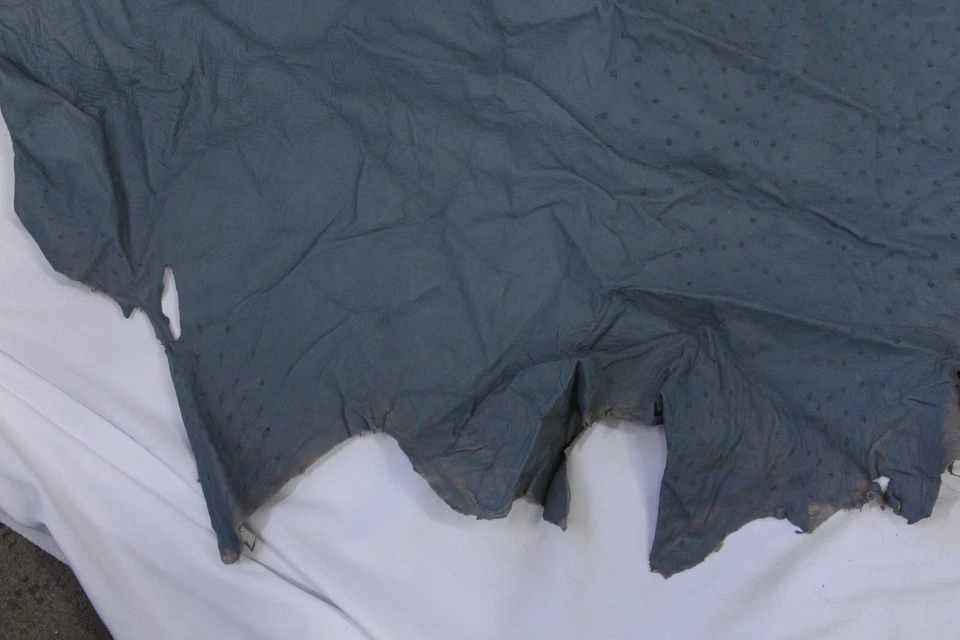 Piel de cuero gris azul avestruz 14 sq. ft 100 % genuino Foto 2 de 4