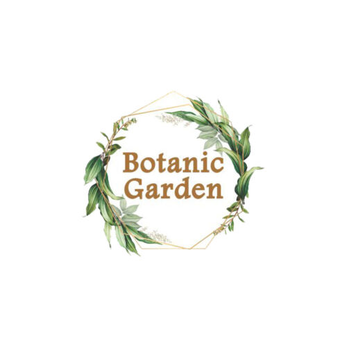 Jardín Botánico Hierba Cruda Bil Hoja o Egle Marmelos 100% Hierba Orgánica Pura - Imagen 6 de 6