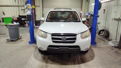 Info-GPS-TV Screen With Rear Entertainment System Fits 07-09 SANTA FE 1177699