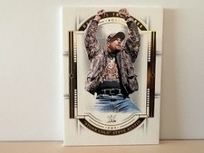 “Stone Cold” Steve Austin - /99 - 2024 Panini National Treasures - #80