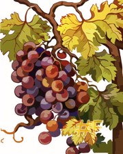 Grapes in the Harvest Season Printed Needlepoint Canvas FA109-2