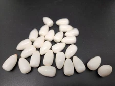 24 Pompano Bullet Floats Whiting Walleye  fishing floats 20 mm glow sand flea