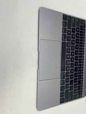 Apple MacBook Laptop 12