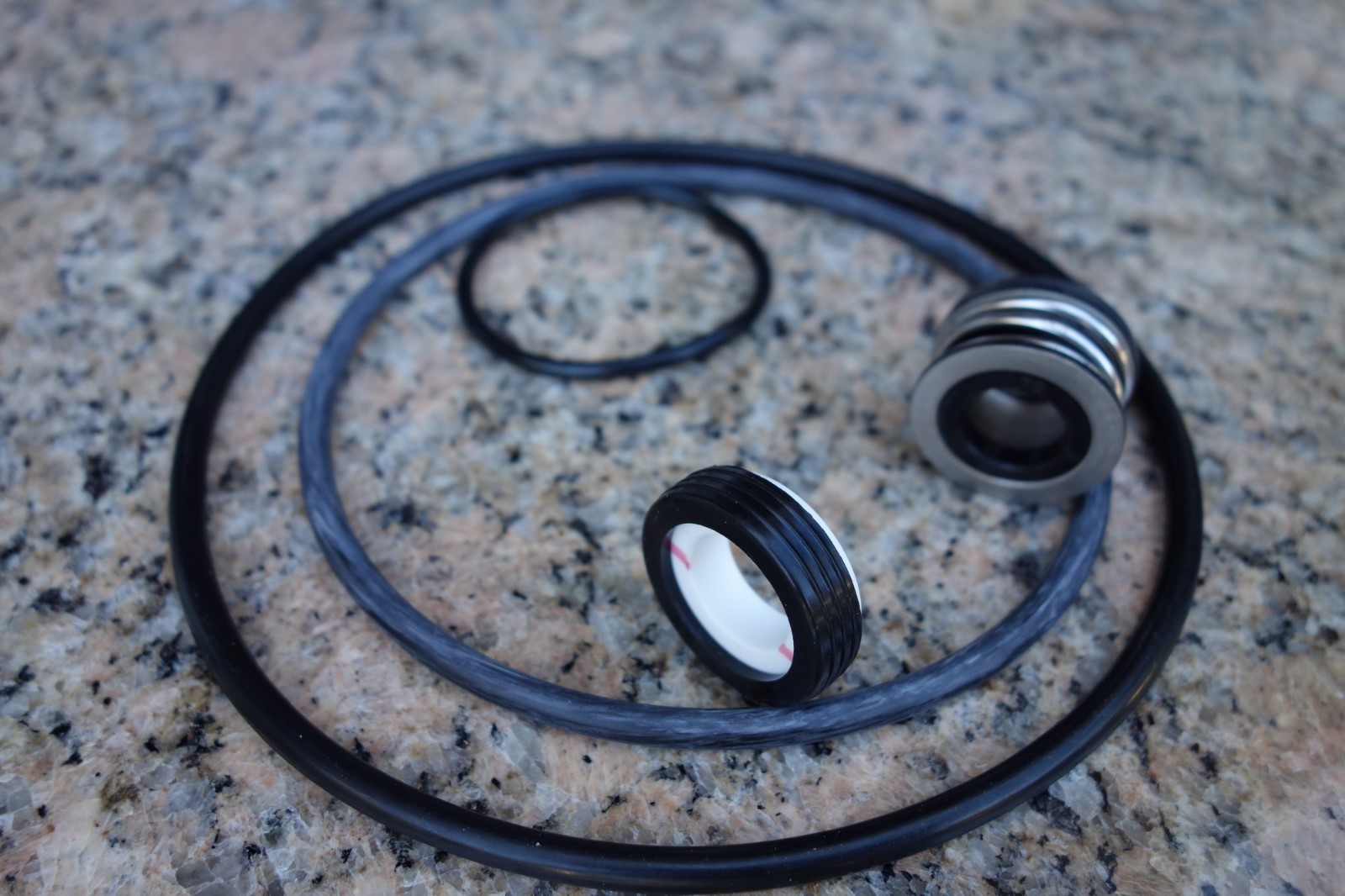 Pentair Dynamo Schwimmbadpumpe Reparatur-Kit – O-Ringe & Dichtungen Für Den Umbau