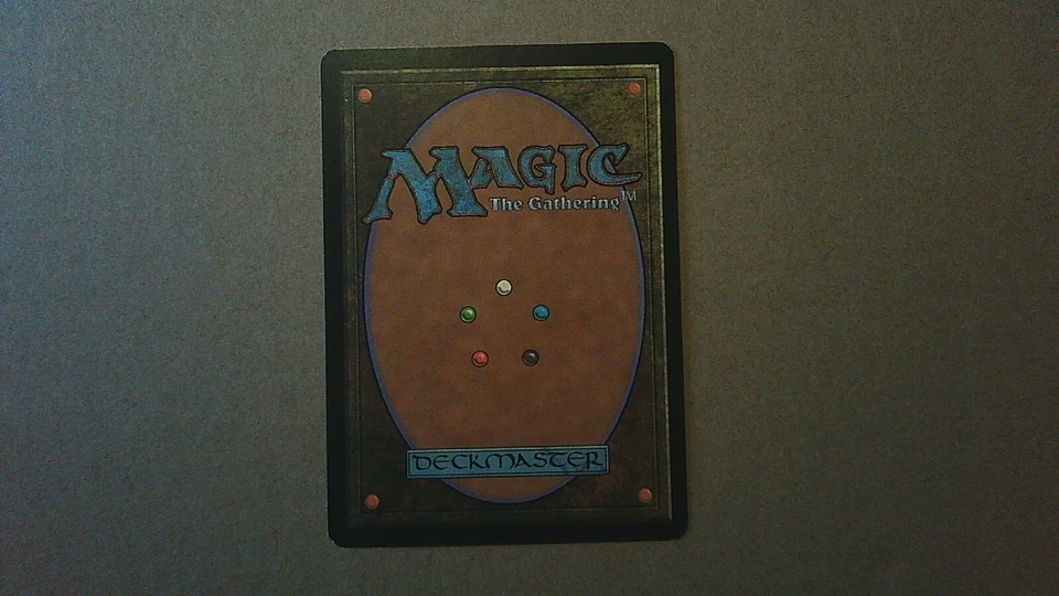 MTG Non-English Singles - Blowfly Inestation - Spanish, Shadowmoor, Uncommon - Image 2 of 2