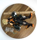 Bild 5 von 5