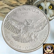 2015 Canada Birds Of Prey Wildlife Series Great Horned Owl .9999 Silver Fast 🚢 