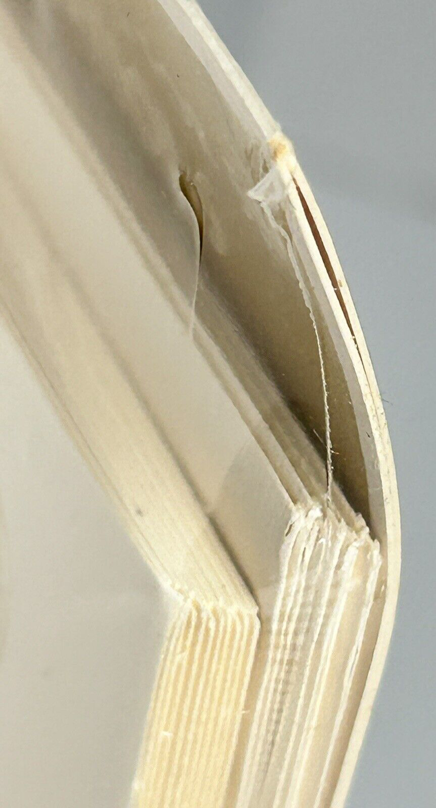Picture 19 of 24
