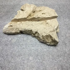 Coral Slotted Display Picture Stand