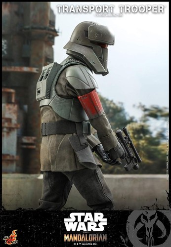 TV Masterpiece The Mandarorian Transport Trooper 1/6 Ash Color Action Figure JP - Imagen 9 de 12