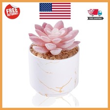 Charming Artificial Succulent in Elegant White Ceramic Pot - Small 2.2" Decor