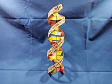 Homemade DNA Project for Science project USED Good Condition