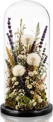 13.8 Inch Tall Glass Dome with Base, Clear Glass Empty Display Cloche, Decorativ
