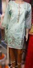 Minzi's Pakistani / Indian kurti with embroidery on Organza fabric.