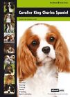 Cavalier King Charles Spaniel (Dog Breed Expert Series)