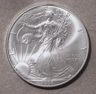 1996 American Silver Eagle (Key Date), 1oz Fine Silver, #3246