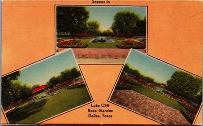 Vintage Lake Cliff Rose Garden Dallas Texas Postcard Multi-View Linen