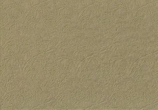 Swavelle Mill Creek Fabric Jeanine Pebble Antique Gold Drapery Upholstery 