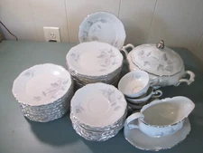 Mitterteich Bavaria Monica Germany China set 40 pieces with grey flowers