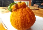 Foto 3 di 5