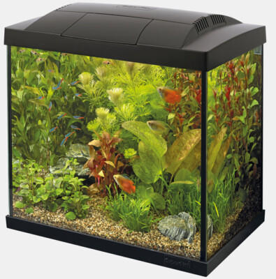 SUPERFISH START 30 schwarz komplett Set Filter Heizer Kescher Aufbereiter LED